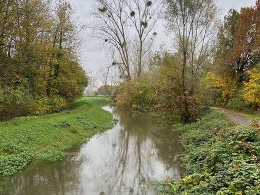 Trotz Hochwassers eine gelungener Spaziergang des CDU-Gemeindeverbandes.